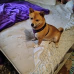 Eddie Davis - Facebook