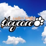 Eddie's Doggy Daycare - @eddiesdoggydaycare - Instagram