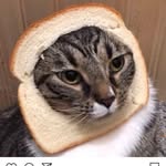 Edward Decker Overbey - @fortheloveofeddie - Instagram