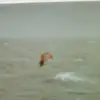 EddieDo - @eddiedokus - TikTok