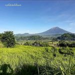 Eddie Bali driver & tours - @sedatubalidriver - Instagram