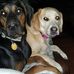 Eddie Dukes - Facebook