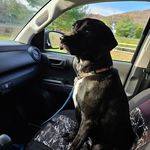 Eddie Dunn - @eddiedunn629 - Instagram