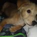 Eddie Teczon Dunn - Facebook