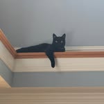 Eddie Dutton - @efdutt - Instagram