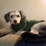 Eddie Echols - @eddieechoes - Instagram