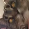 eddieelder997 - @edinyobed - TikTok