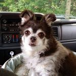 Eddie Embrey - @embreyedward - Instagram
