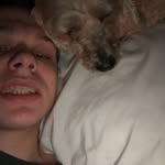 Eddie Erickson (backup) - @thatmemeguy_69 - Instagram