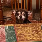Eddie Erwin - Facebook