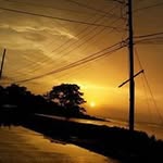 Eddie Falconer - @eddiefalconer - Instagram
