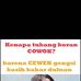 Aidi Fewcow - Facebook