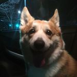 Eddie Firestone - @eddiefirestone - Instagram