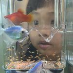 Eddie養魚男子日記 - @eddie_fish_man - Instagram