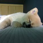 Eddie Kim - @eddieforce135 - Instagram