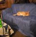 Eddie Laforce - Facebook