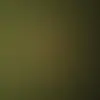Ed Gilreath - @ed.gilreath - TikTok