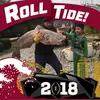 Ed Gingerich - @edgingerich - TikTok