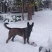 Eddie Jesse Glaze - Facebook