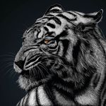 Malik Glaze - @eddieglaze.mg - Instagram