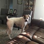 Eddie Glenn - @elglexington - Instagram