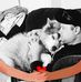 Eddie Goddard - Facebook
