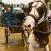 Sara Eddie Goddard - Facebook