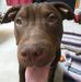 Ed Goodrich - Facebook