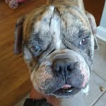 Eddie Gottlieb - @gottlieb_eddie - Instagram