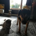 Eddie_and_grady - @eddie_and_grady - Instagram