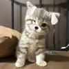 addi - @1uv.add1 - TikTok