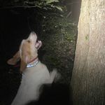 Eddie Griffith - @quack_honk - Instagram