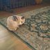 Eddie Griffith - Facebook