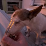 Eddie Griffiths - @edz020189 - Instagram