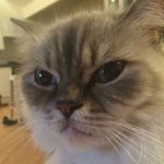 Eddie Ferris-Grover - @eddiebanana - Instagram