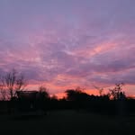 Eddie groves - @edd1e007.10 - Instagram