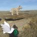 Grubbs Sr Eddie - Facebook