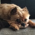 Eddie - @eddie_hamptons - Instagram