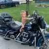 Eddie Hampton - @eddie.hampton5 - TikTok