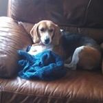 Eddie Handy - @eddiehandy48 - Instagram