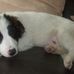 Eddie Hare - Facebook