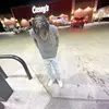 Eddie Haskell - @eddiehaskell0 - TikTok