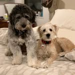 Eddie Haskell & Rylee - @eddiehaskellrylee - Instagram