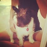 Eddie Hazelip - @eddiehazelip - Instagram