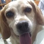 Eddie Hedge - @eddie.hedge.7374 - Instagram