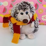 Eddie the Hedgehog - @eddiehedgehog - Instagram