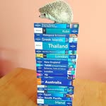 eddiethehedgehog - @eddiemyhedgehog - Instagram
