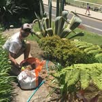 Amazing Lawns & Hedges | Ben / Eddie - @amazinglawns.hedges - Instagram