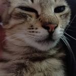 Eddie Hodges - @crew_farhan - Instagram