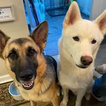 Eddie & Barkley Holcomb - @edboy_barkley - Instagram